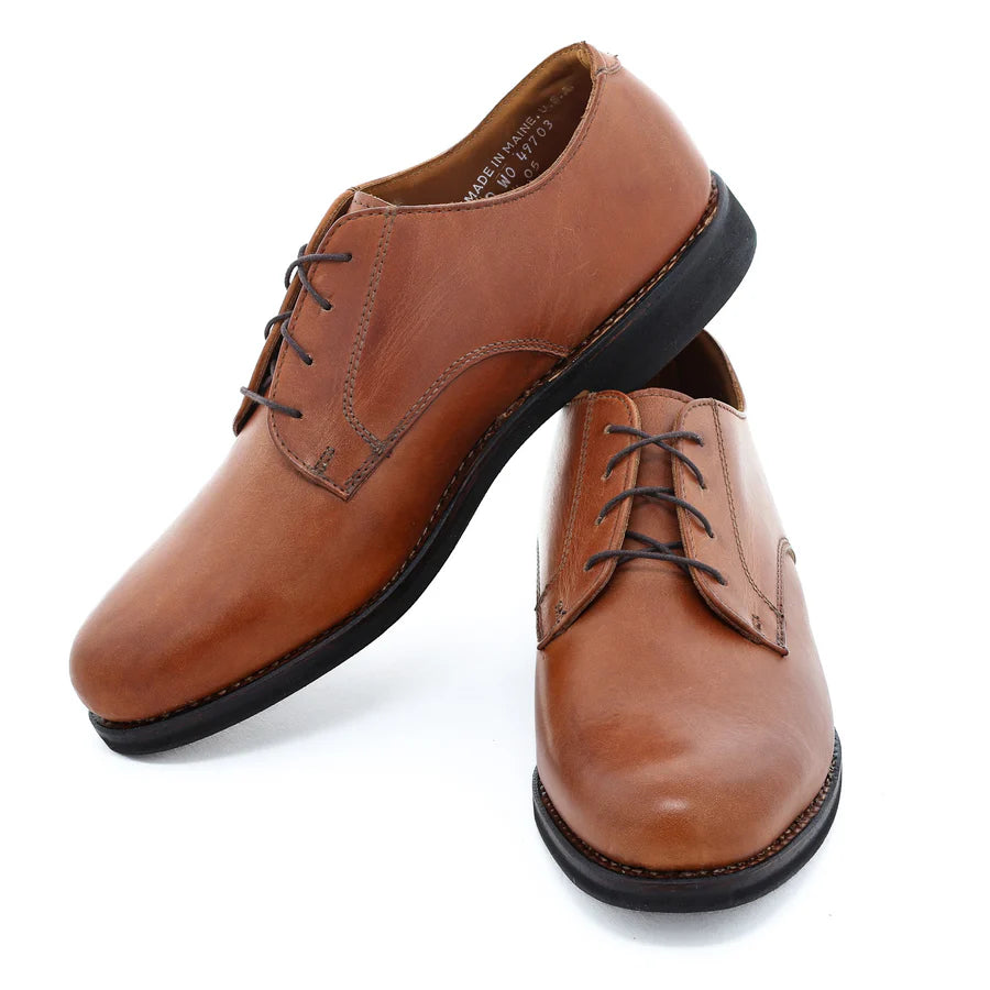 Dirigo Blucher